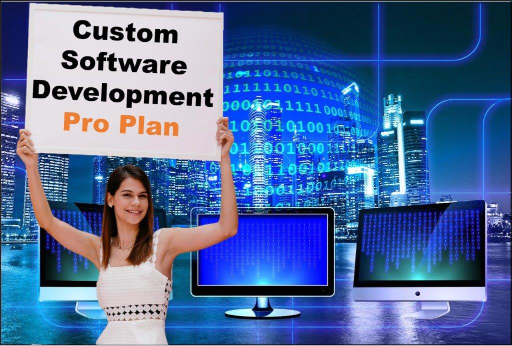custom software development agency in Springfield Illinois