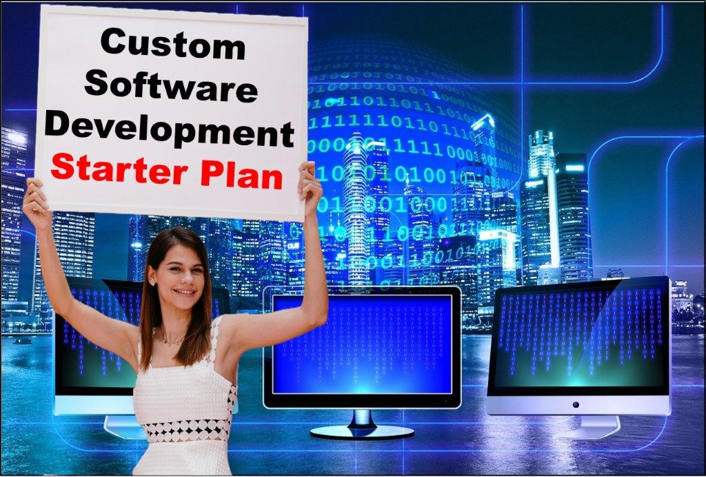 custom software development services in Springfield Illinois