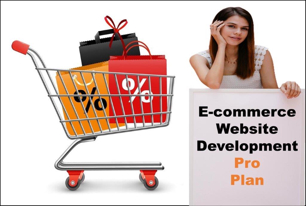 professional ecommerce website development agency in Springfield Illinois