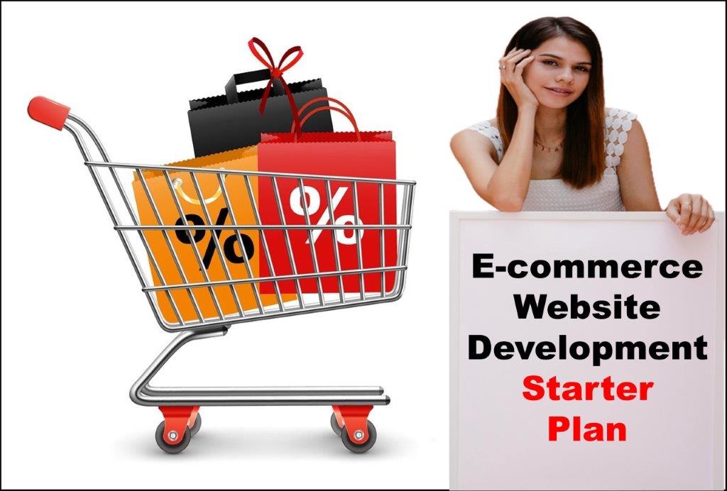 ecommerce website development agency in Springfield Illinois