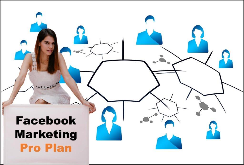 facebook marketing company in Springfield Illinois