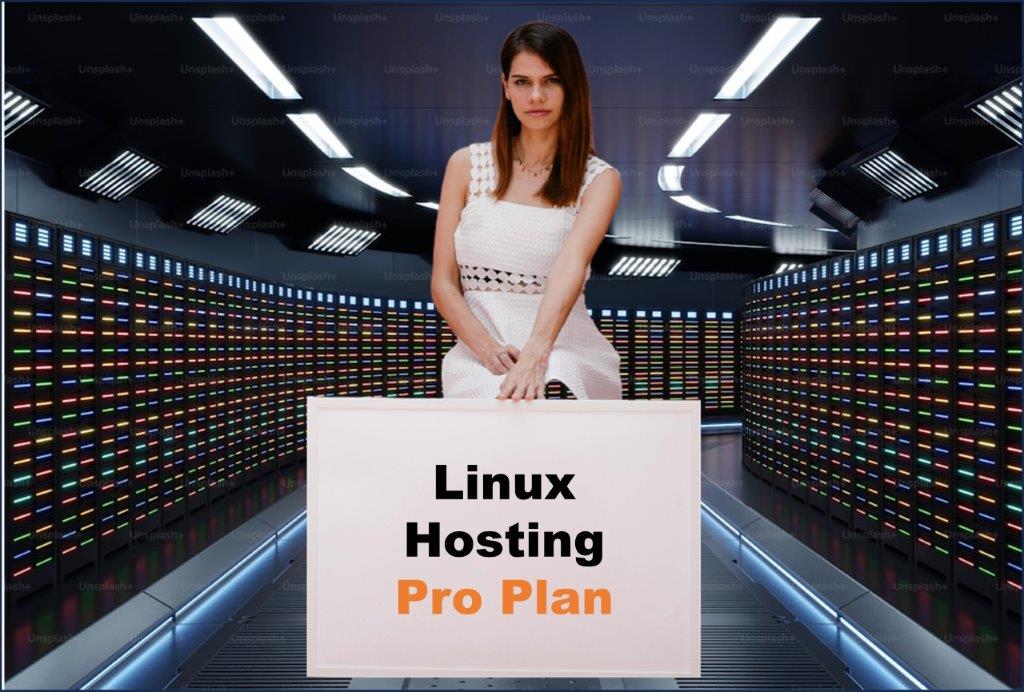 linux hosting windows hosting provider in Springfield Illinois