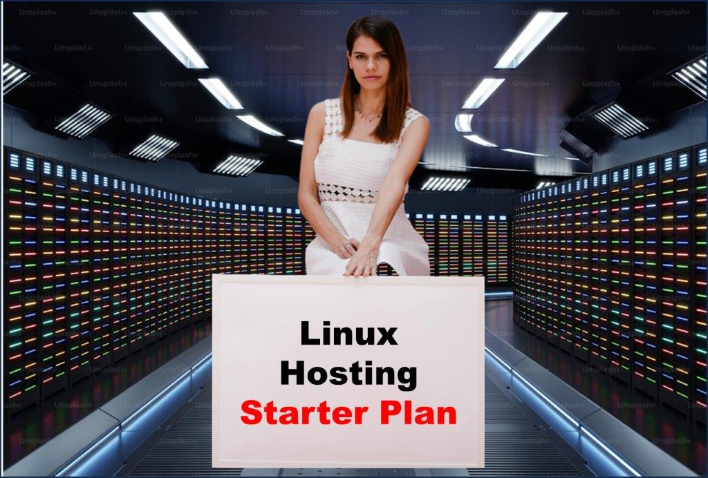 linux hosting windows hosting provider in Springfield Illinois
