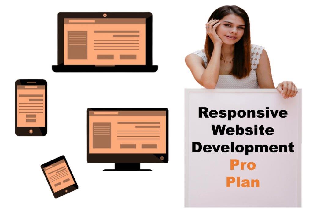 expert responsive website development agency in Springfield Illinois