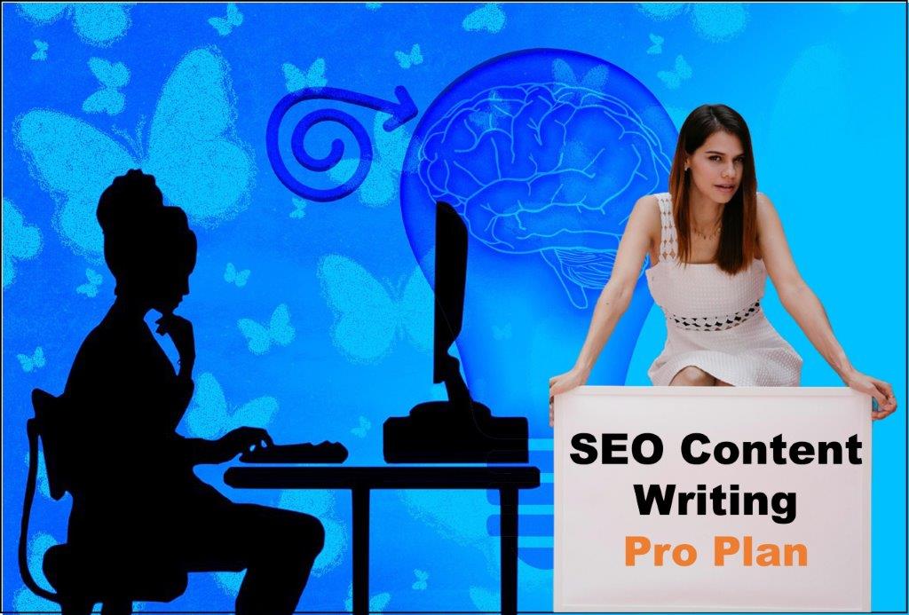 seo content writing agency Springfield Illinois