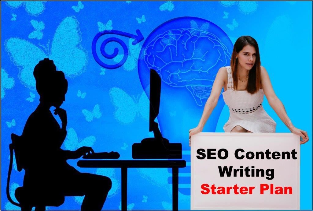 seo content writing service provider in Springfield Illinois