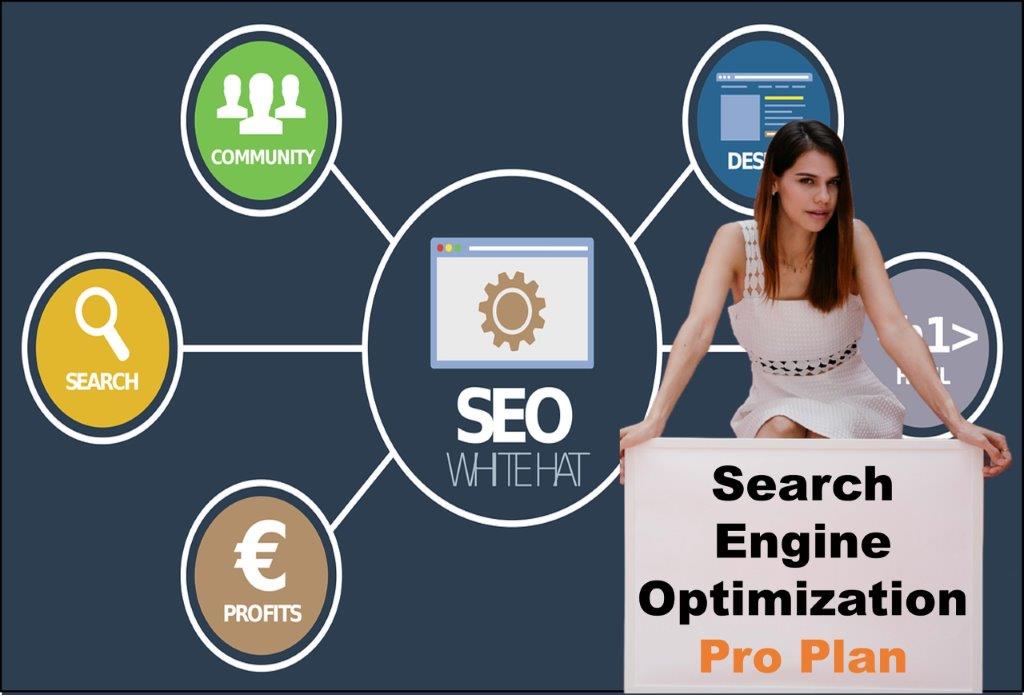 seo company Springfield Illinois