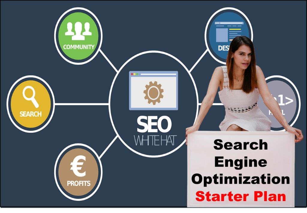 seo service provider in Springfield Illinois