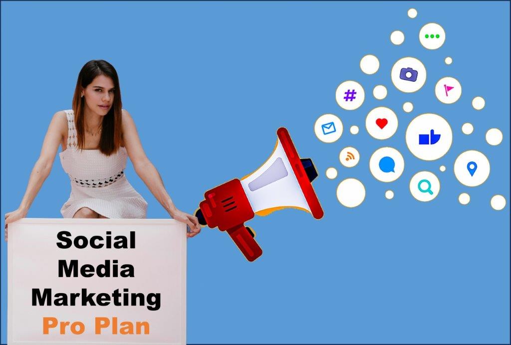 social media marketing company in Springfield Illinois