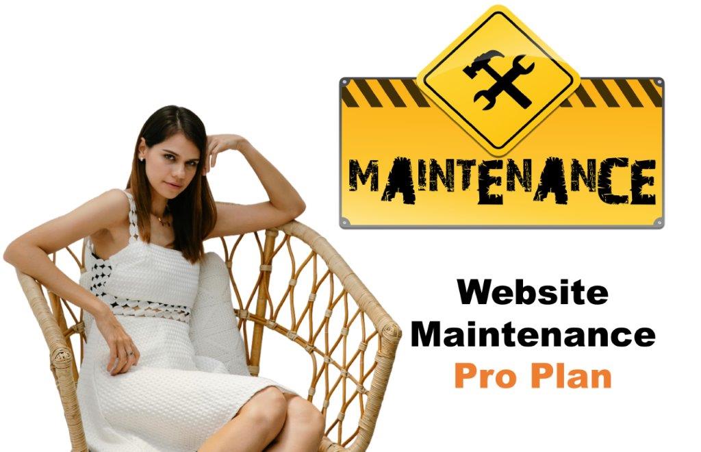 website maintenance agency in Springfield Illinois