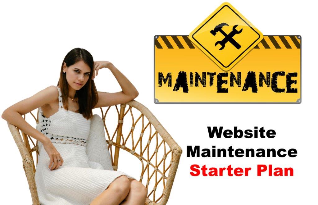 website maintenance service in Springfield Illinois