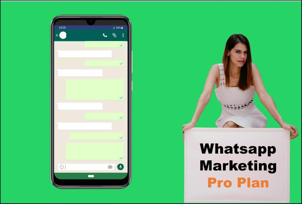 whatsapp marketing agency in Springfield Illinois