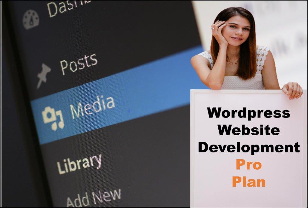 wordpress website designing in Springfield Illinois