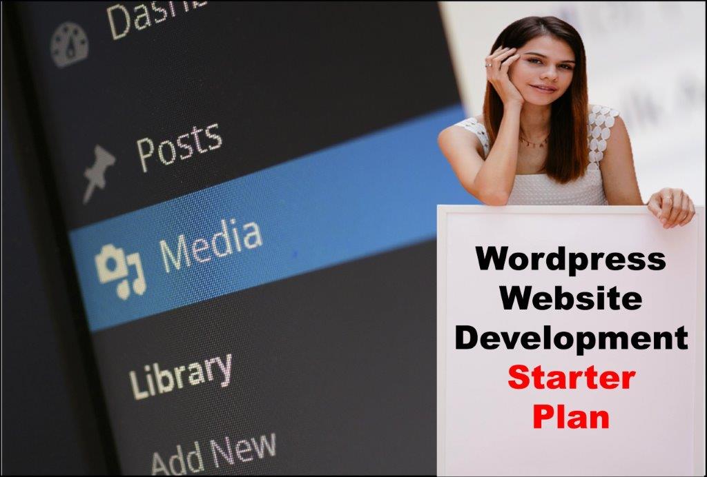 wordpress website development agency in Springfield Illinois